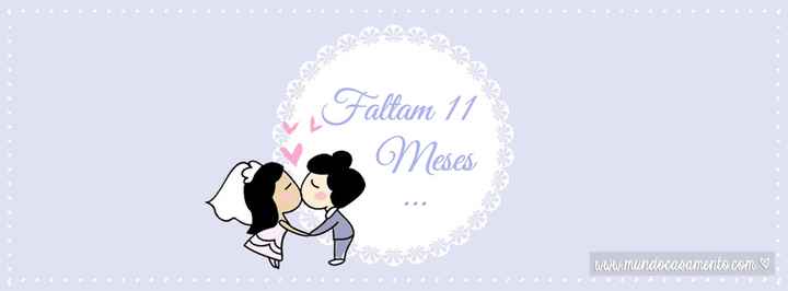 11 MESES 