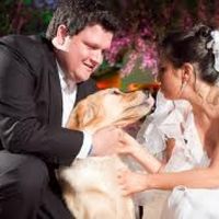 O filhote entra com as alianças!