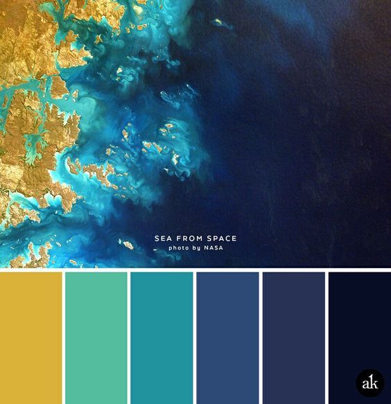 Paleta de cores 2