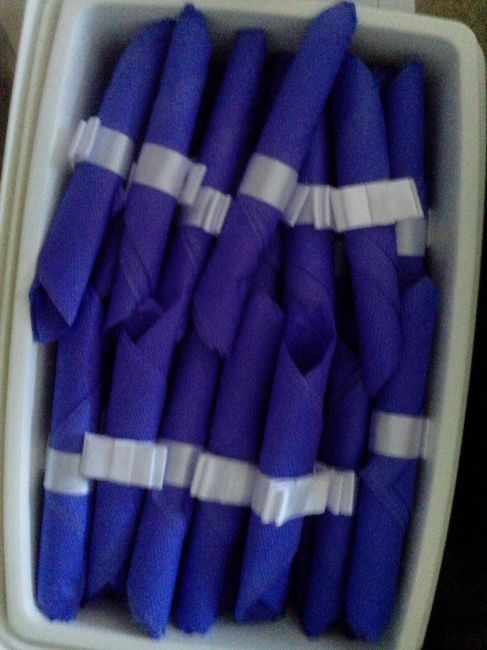 Guardanapos Roxo