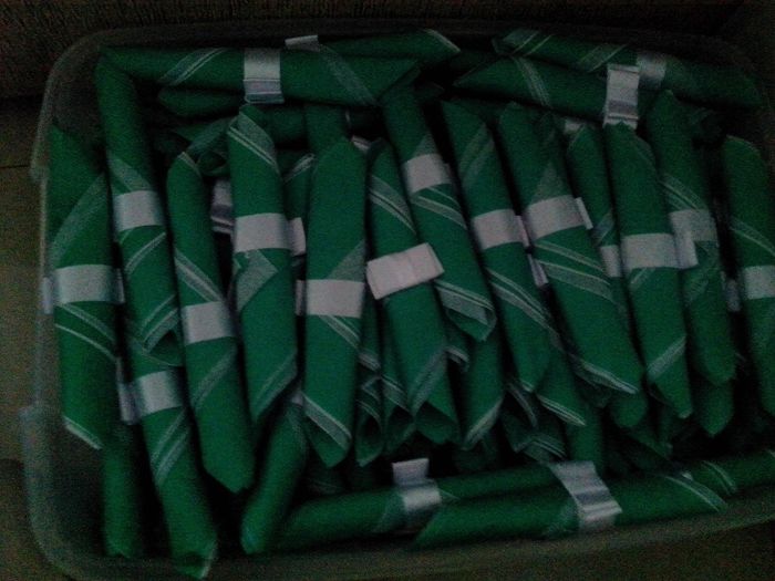 Guardanapos Verde