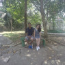 Glauciane