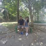 Glauciane