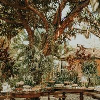 Meu casamento dos sonhos - 6