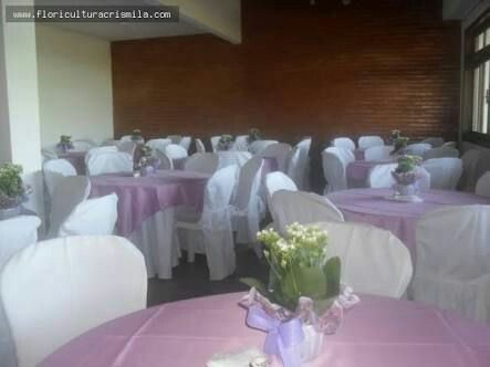 Decoração - 1