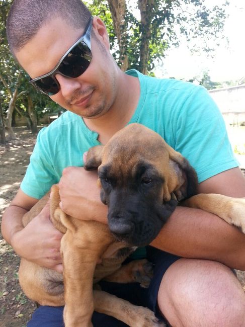 Trocamos a lua de mel... - 2