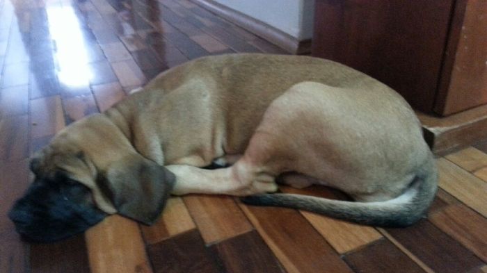 Trocamos a lua de mel... - 4