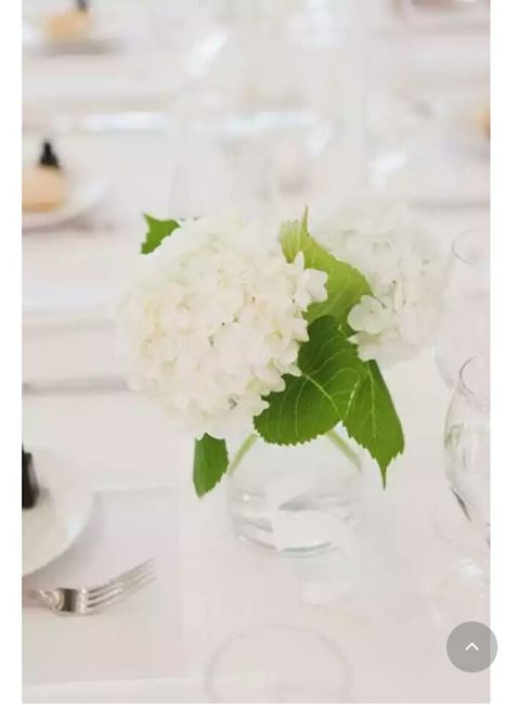 Minhas inspirações de flores - 16