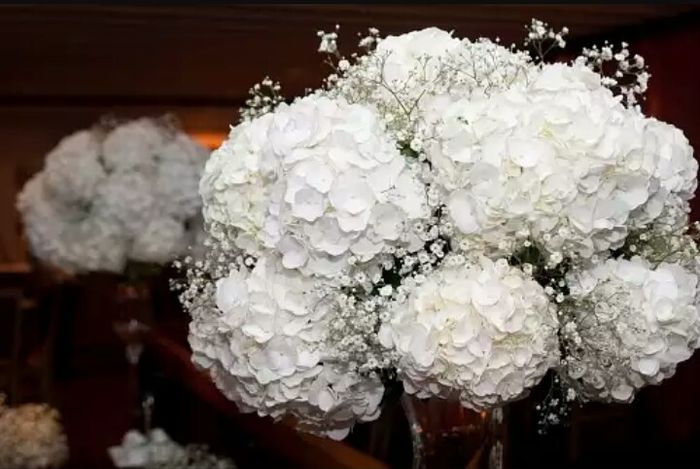 Minhas inspirações de flores - 23