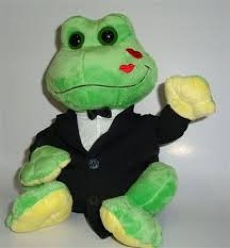 Sapo de pelúcia