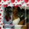 Marillucya