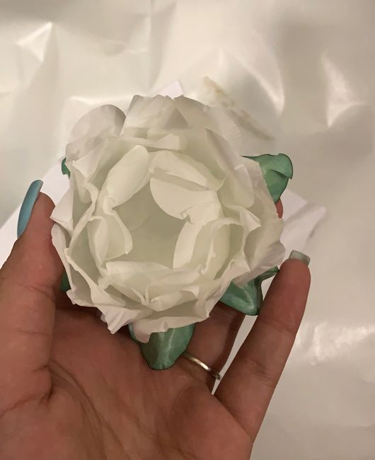 Minhas forminhas para os docinhos! - 2