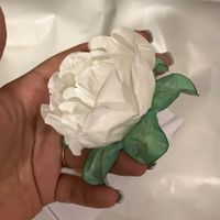 Minhas forminhas para os docinhos! - 1
