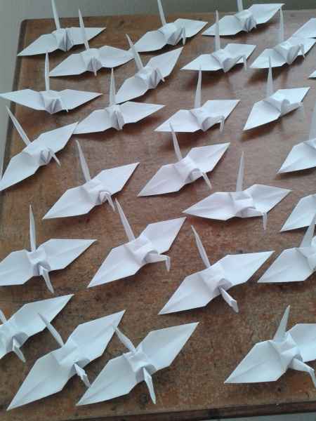 Fotos dos tsurus - origamis - 1