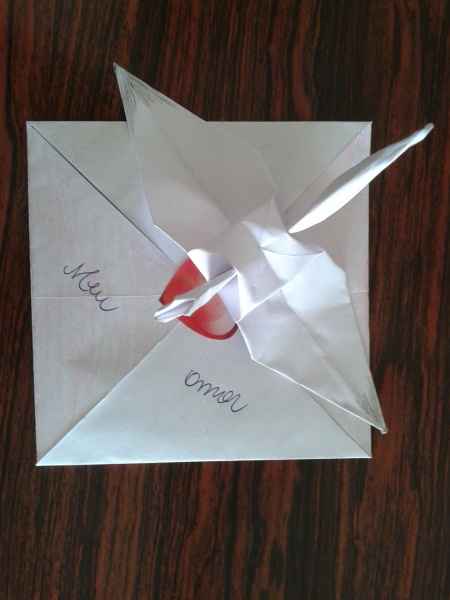 Fotos dos tsurus - origamis - 2
