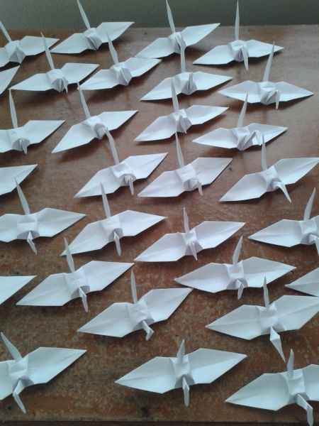 Fotos dos tsurus - origamis - 3