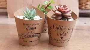 Cultive Amor Natureza Vida