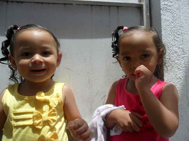 Minhas bonecas