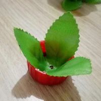 Forminhas feitas de petalas do aliexpress - 2