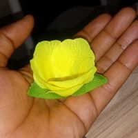 Forminhas feitas de petalas do aliexpress - 4