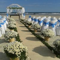Grande Dia ... CASAMENTO DOS SONHOS