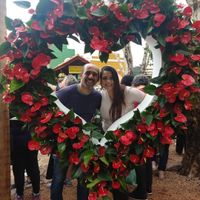 Holambra e projetos a serem realizados.