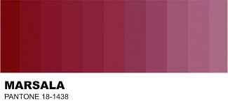 Paleta - marsala e branco