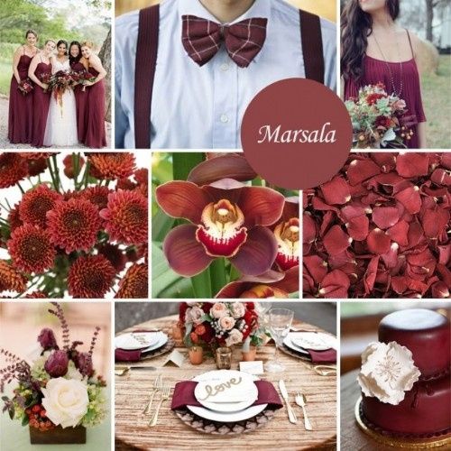 Paleta - marsala e branco