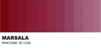 Paleta - marsala e branco