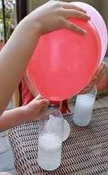 Balao
