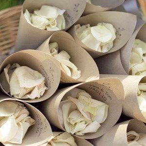 Cone para as petálas