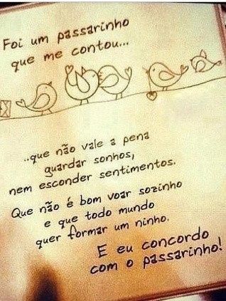 Lindos passarinhos!