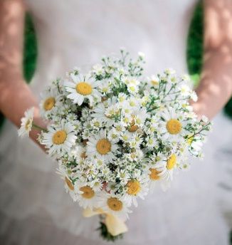 Margaridas no casamento 19