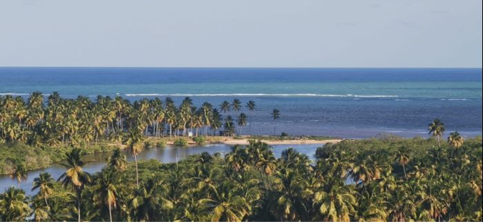 Lua de Mel nordeste 🏝🌿🌞 7 dias quando Gastamos!! 9