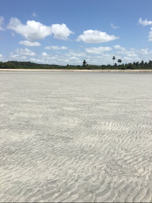 Lua de Mel nordeste 🏝🌿🌞 7 dias quando Gastamos!! 2