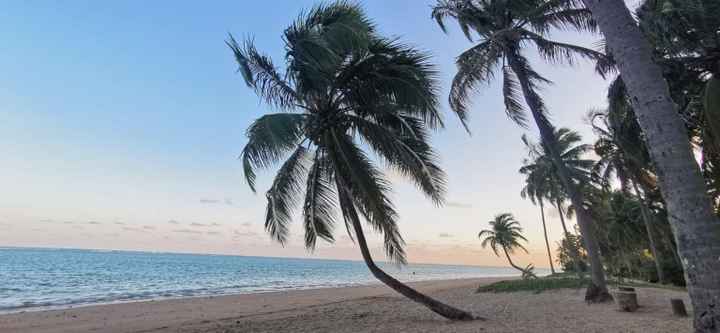 Lua de Mel nordeste 🏝🌿🌞 7 dias quando Gastamos!! - 5