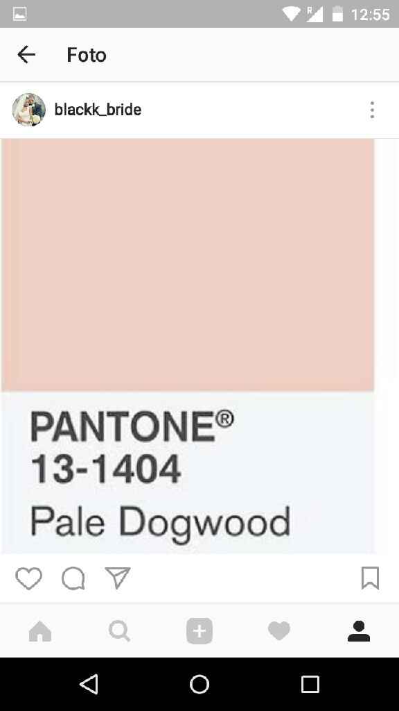 Pantone 2017 - pale dogwood - 1