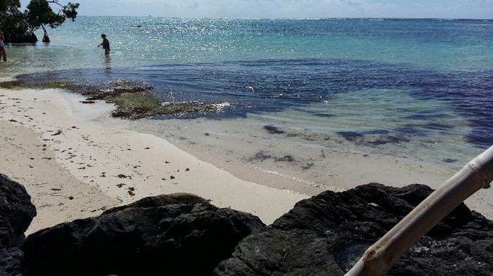 Punta cana - 9