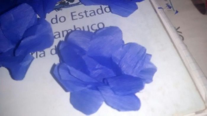 Diy - forminhas para doces , de papel crepom ! - 9