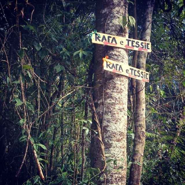 plaquinhas do caminho