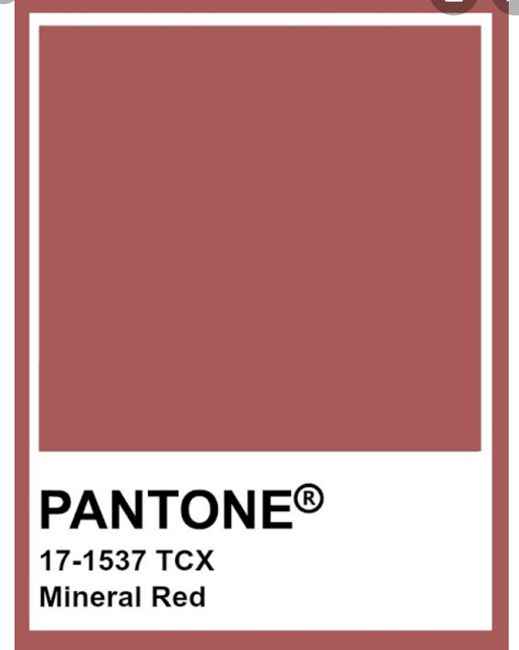 Cor de Vestido - 1