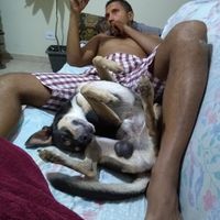 Com pet ou sem pet? - 1