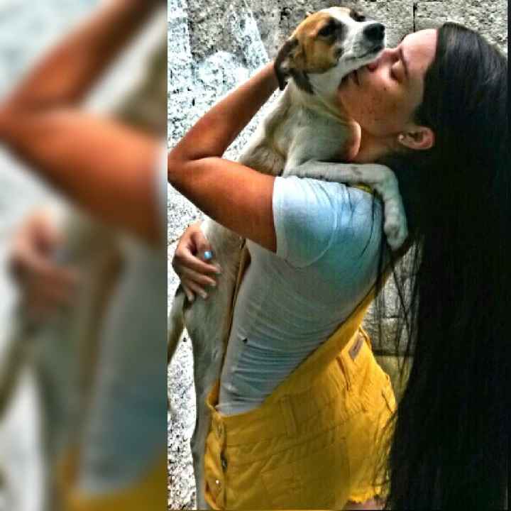 Presença vip da minha companheira de sempre minha cachorrinha  vem ver noivinhas. - 7