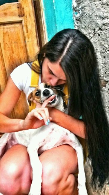 Presença vip da minha companheira de sempre minha cachorrinha  vem ver noivinhas. - 4