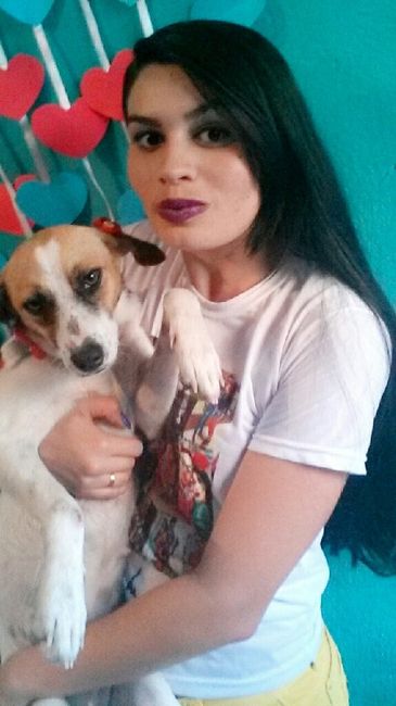 Love&dogs #inspirações - 1