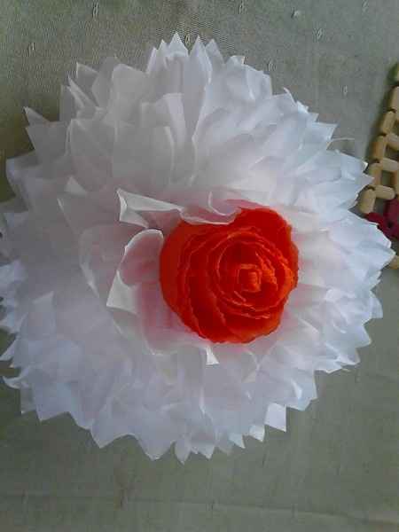 Pom pom de ceda.