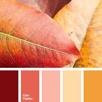 Paleta de cores 