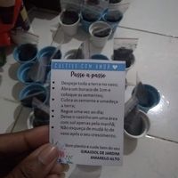  Imprimi algumas tag de plantio e do casamento
