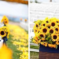 Azul, amarelo e branco