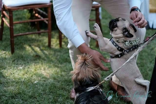 Casamento gay - 10
